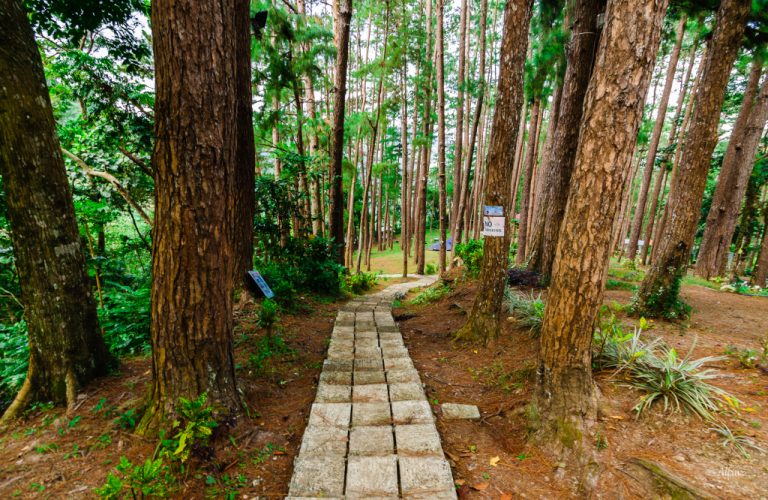 Discovering Bucari, Leon: The Summer Capital Of Iloilo - Pinned.PH