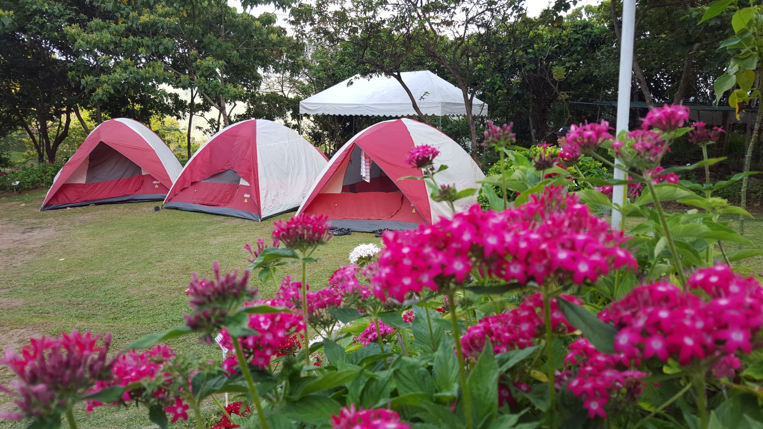 Camping Destinations in Rizal Pinned.PH Philippines' Newest Digital