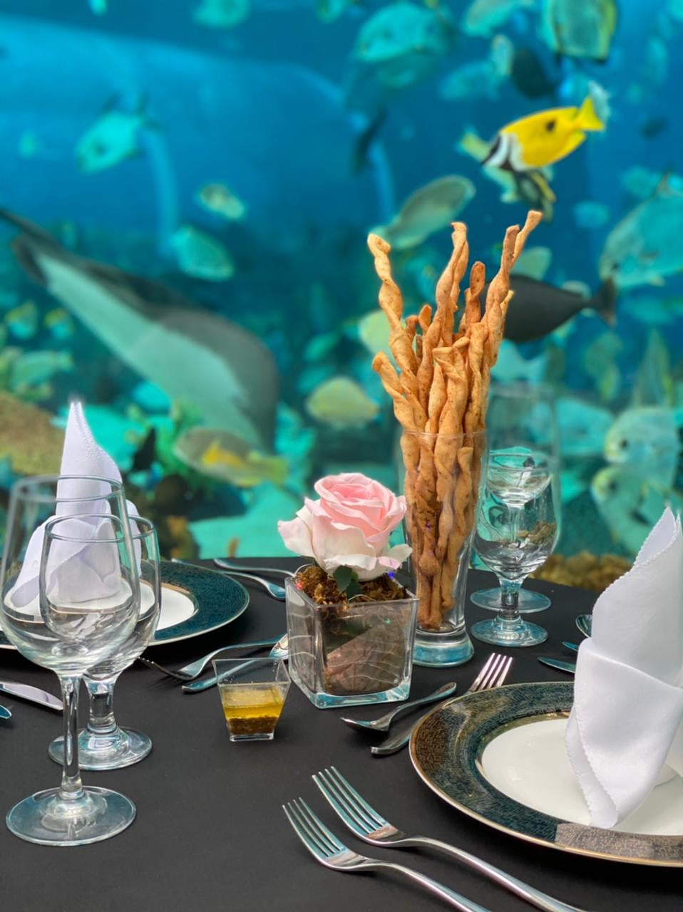 Check Out Cebu's Unique Underthesea Resto & a Cliffside Cafe this